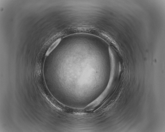 X0000087590593200704271309