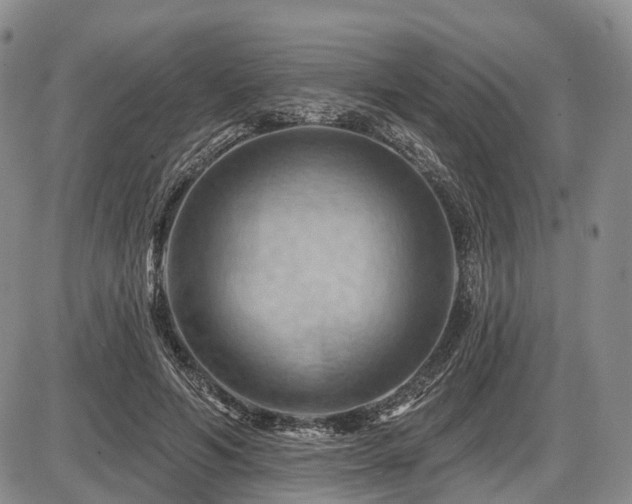 X0000087590594200704271309