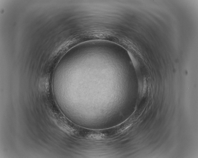 X0000087590595200704271309