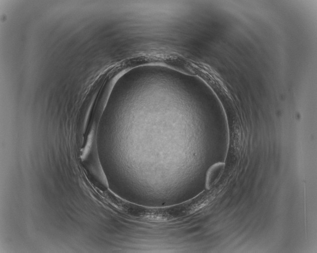 X0000087590596200704271309