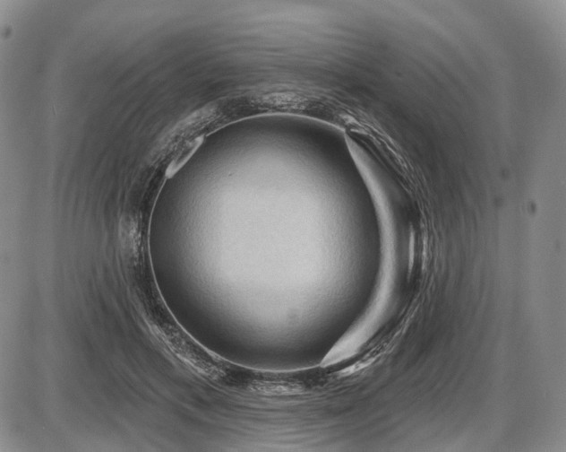 X0000087590597200704271309