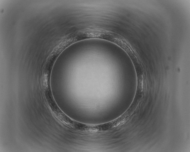 X0000087590598200704271309