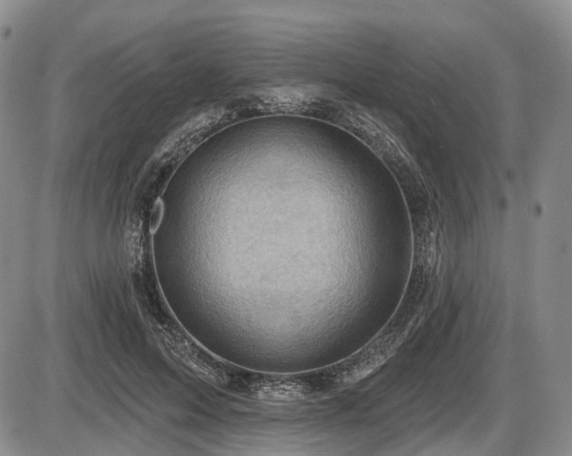 X0000087590599200704271309