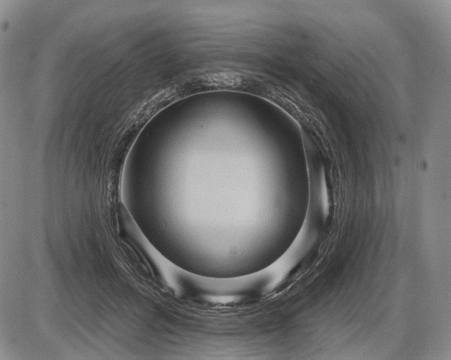 X0000087590600200704271309