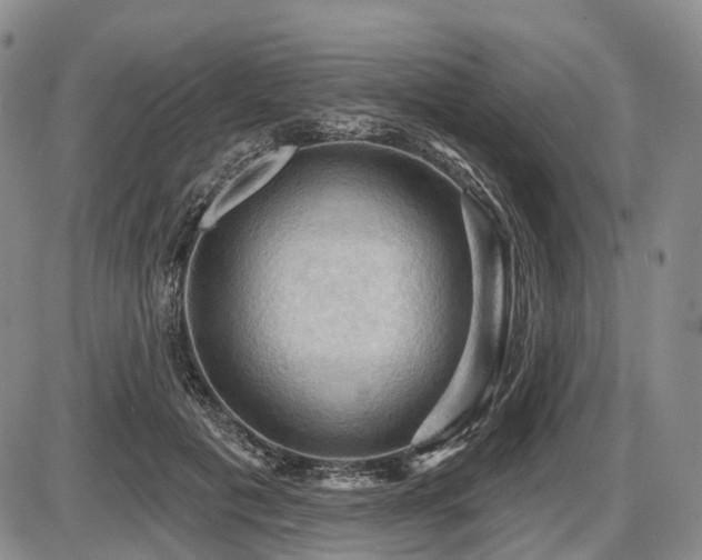 X0000087590601200704271309