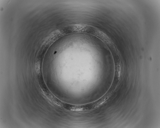 X0000087590602200704271309