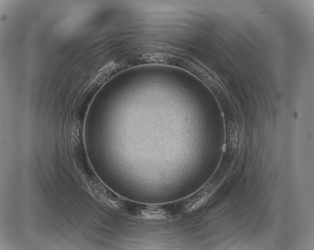 X0000087590603200704271309