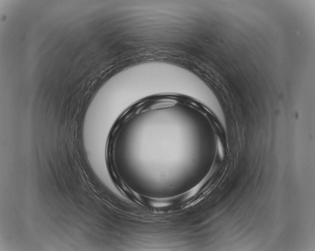 X0000087590604200704271309