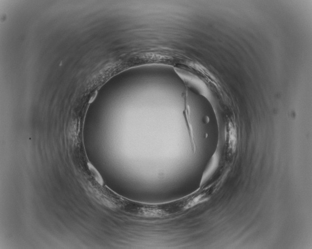 X0000087590605200704271309