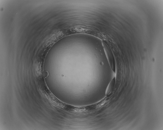 X0000087590606200704271309