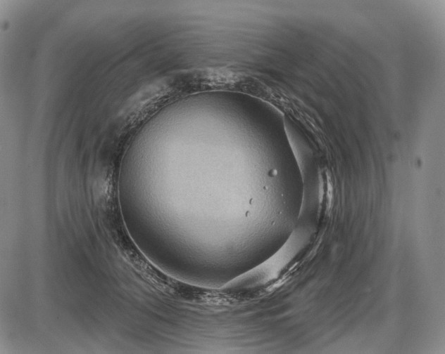 X0000087590608200704271309