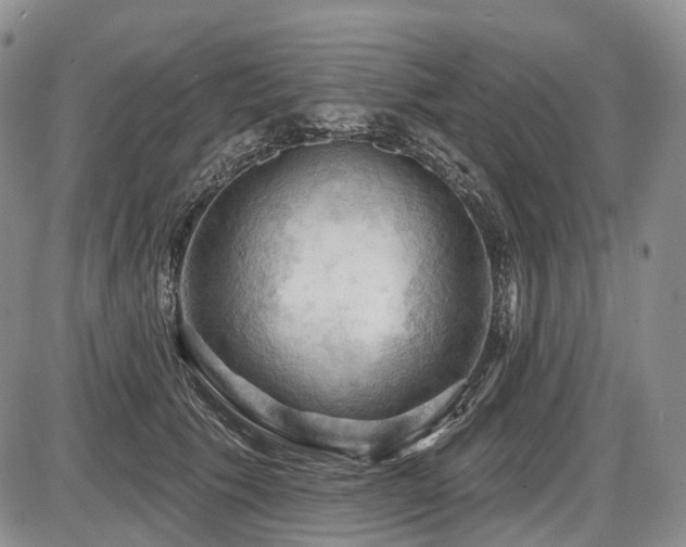 X0000087590609200704271309