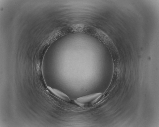 X0000087590610200704271309