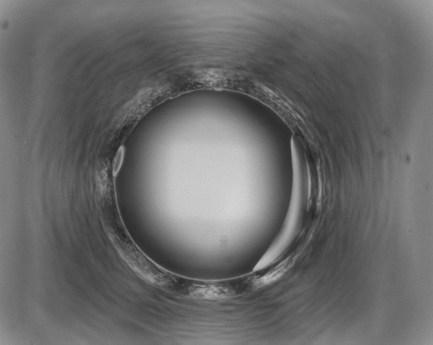 X0000087590611200704271309