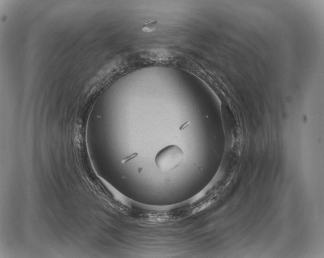 X0000087590612200704271309