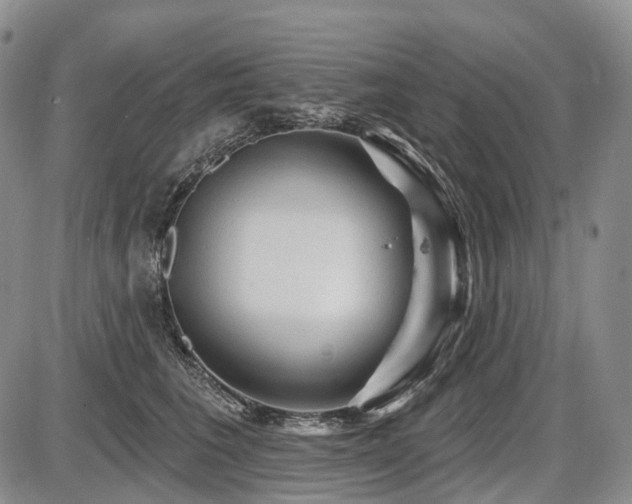 X0000087590613200704271309