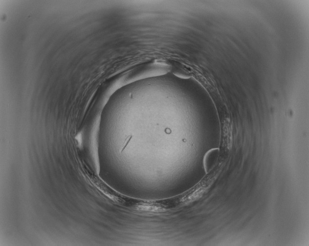 X0000087590614200704271309