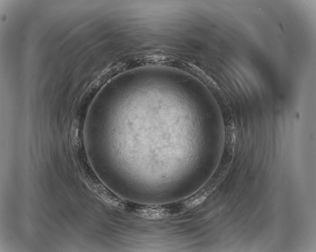 X0000087590615200704271309