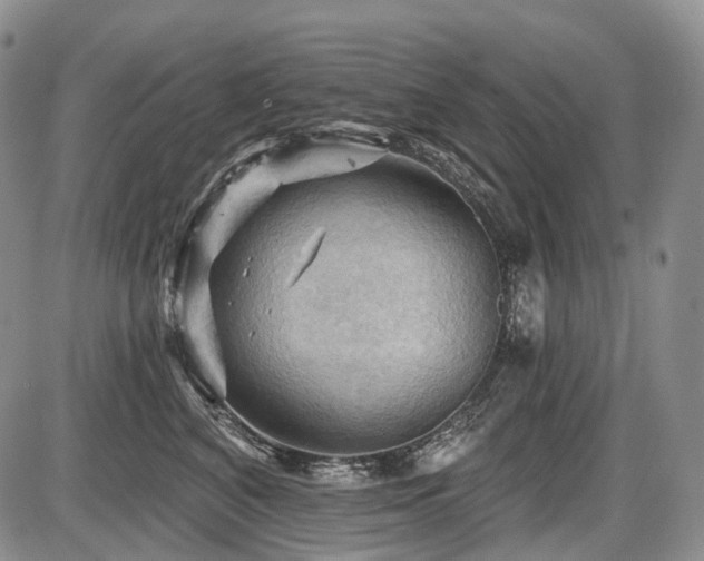 X0000087590616200704271309