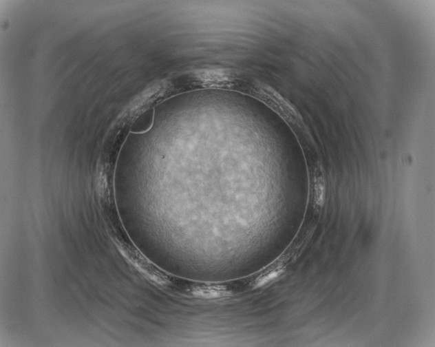 X0000087590618200704271309