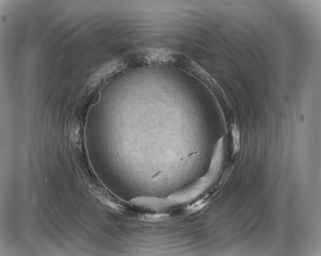 X0000087590619200704271309