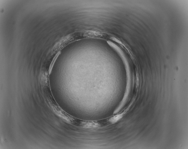 X0000087590621200704271309