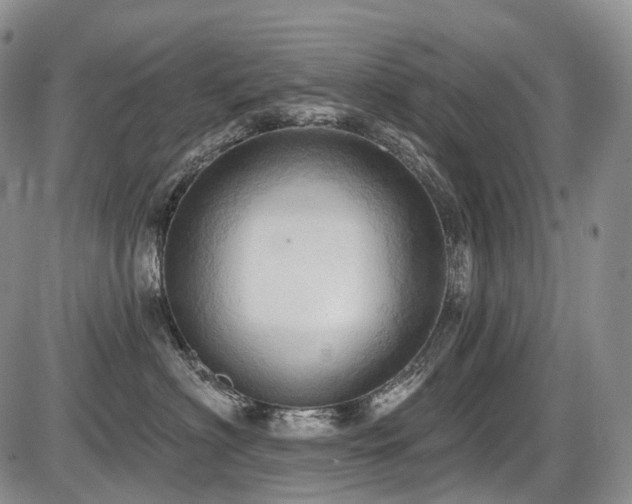 X0000087590622200704271309