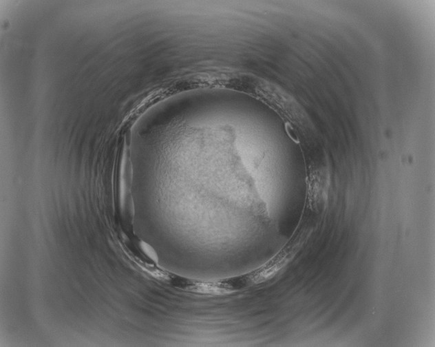 X0000087590623200704271309