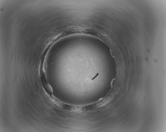 X0000087590624200704271309