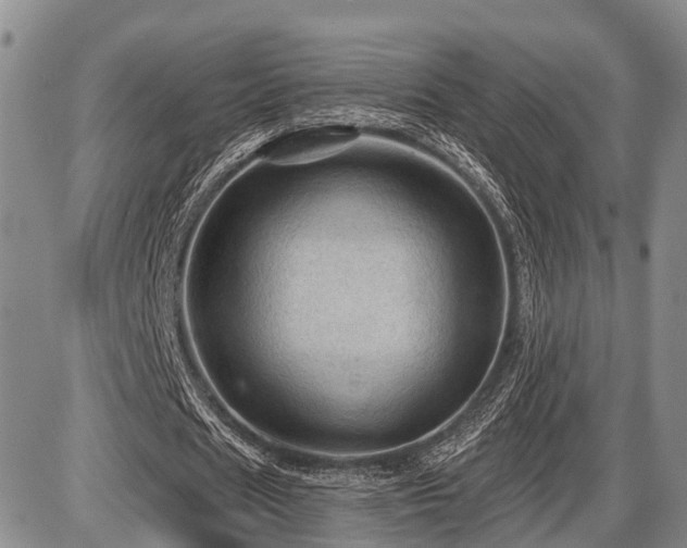 X0000087590625200704271308