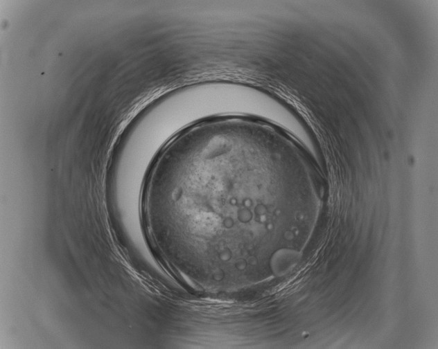 X0000087590626200704271308