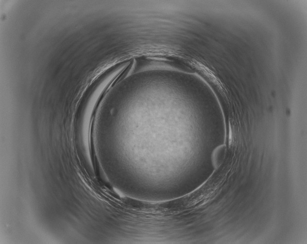 X0000087590627200704271308