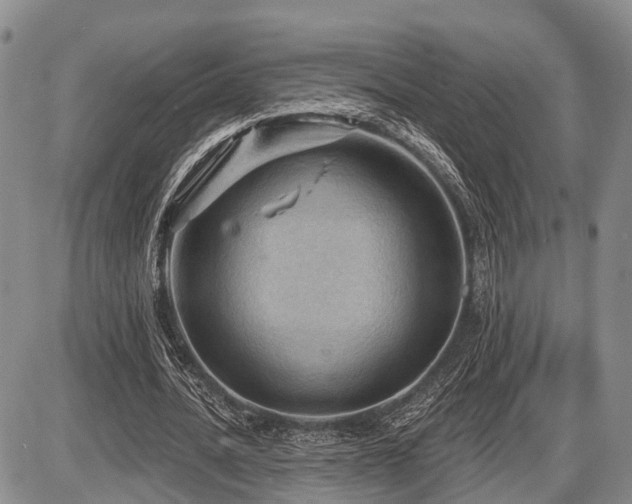 X0000087590628200704271308