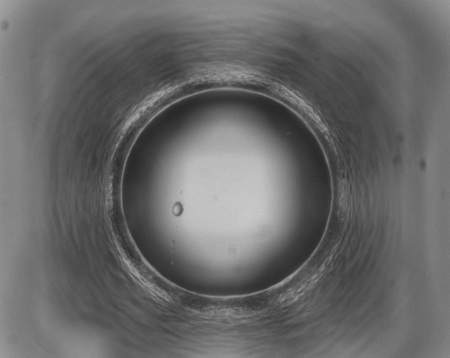 X0000087590629200704271308