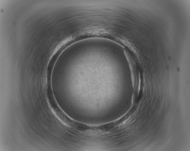 X0000087590630200704271308