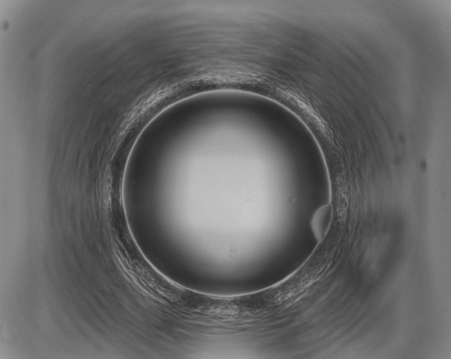 X0000087590631200704271308