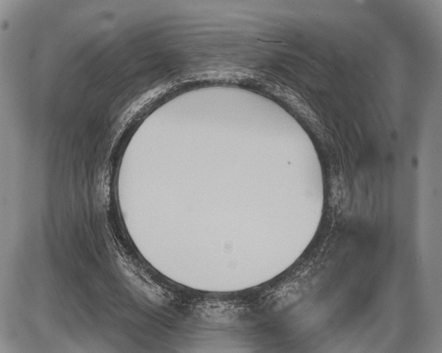 X0000087590632200704271308