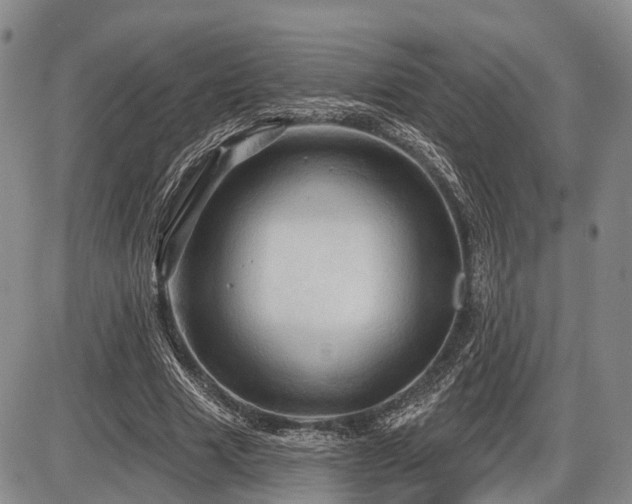 X0000087590633200704271308