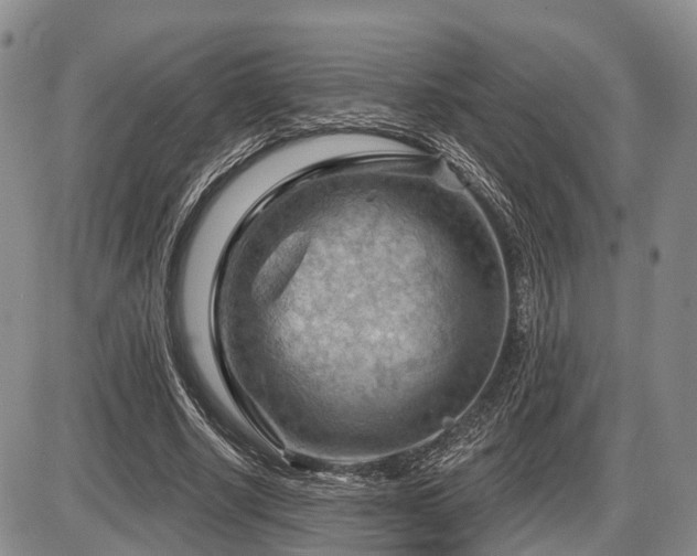 X0000087590634200704271308