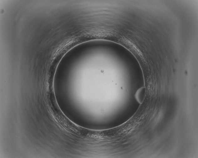 X0000087590635200704271308