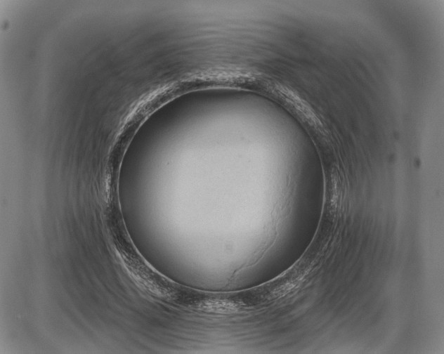 X0000087590636200704271308