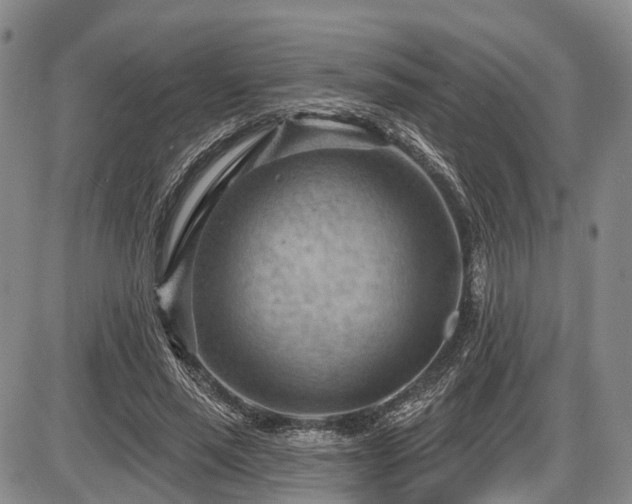 X0000087590637200704271308