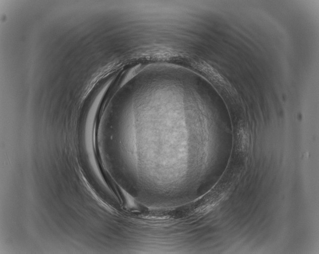 X0000087590638200704271308