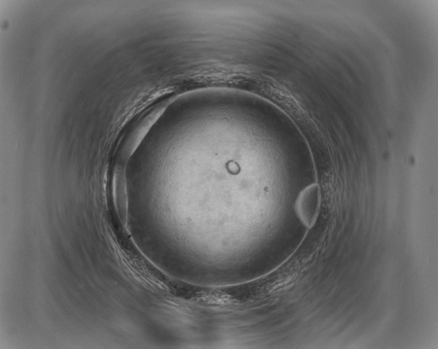 X0000087590642200704271308