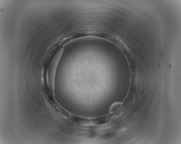 X0000087590643200704271308