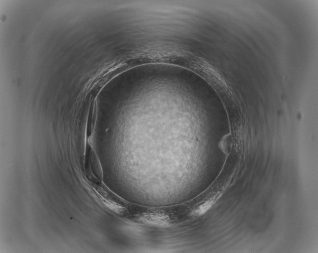 X0000087590644200704271308