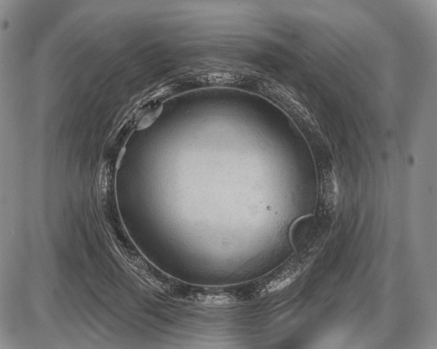 X0000087590645200704271308