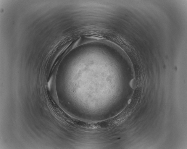 X0000087590646200704271308