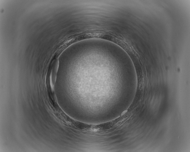 X0000087590647200704271308