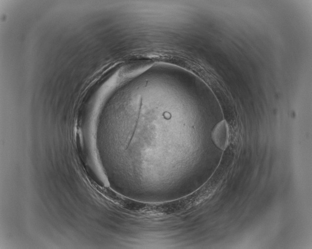 X0000087590648200704271308